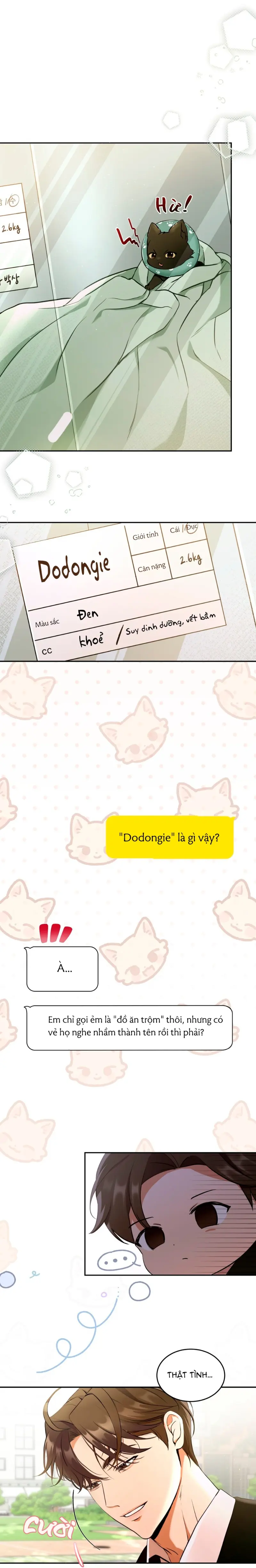 LIỆU PHÁP MÈO Chapter 1 Trang 21