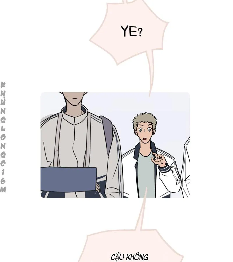 Mãi Mãi Là Bạn Thân Chapter 246 Trang 6