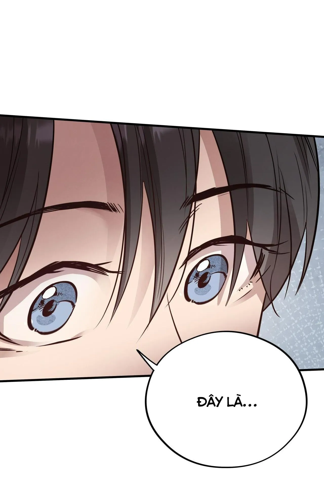 (END) MẬT GẤU Chapter 54 Trang 17