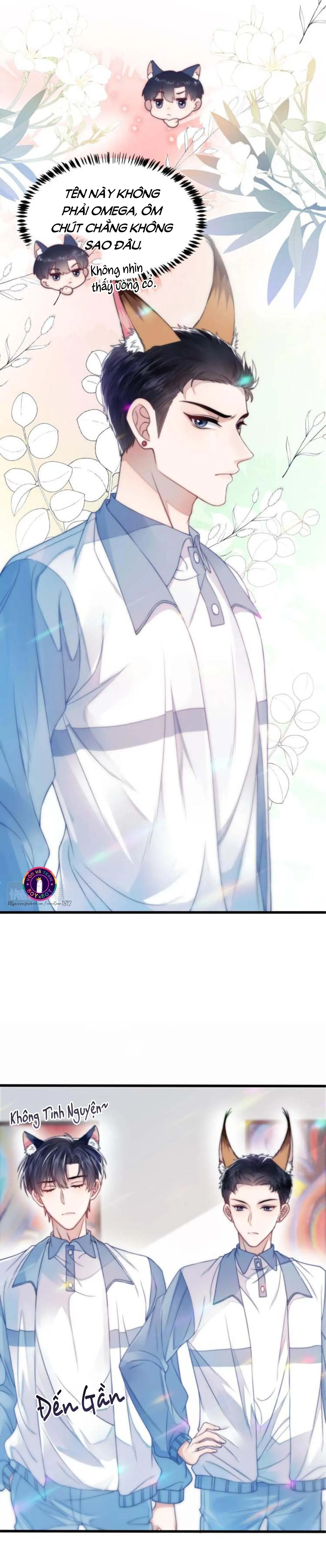Mèo Hoang Nhỏ Của Học Bá Quá Trêu Người (END) Chapter 1 Trang 18