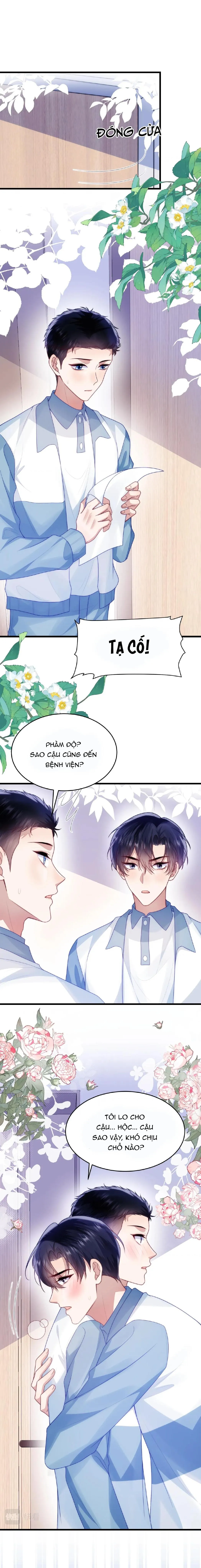 Mèo Hoang Nhỏ Của Học Bá Quá Trêu Người (END) Chapter 67 Trang 7