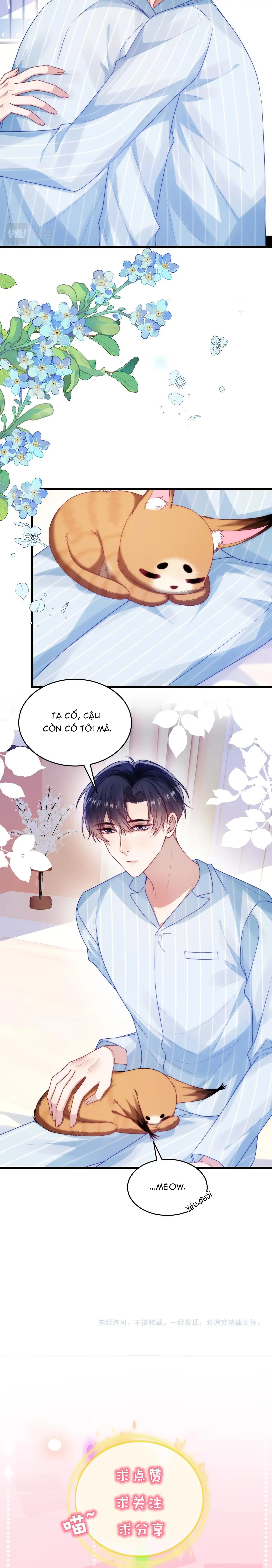 Mèo Hoang Nhỏ Của Học Bá Quá Trêu Người (END) Chapter 74 Trang 11