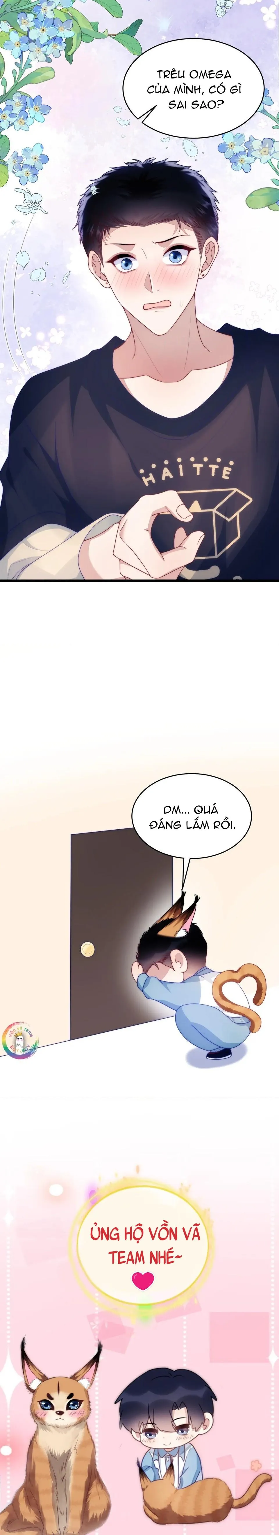 Mèo Hoang Nhỏ Của Học Bá Quá Trêu Người (END) Chapter 75 Trang 19