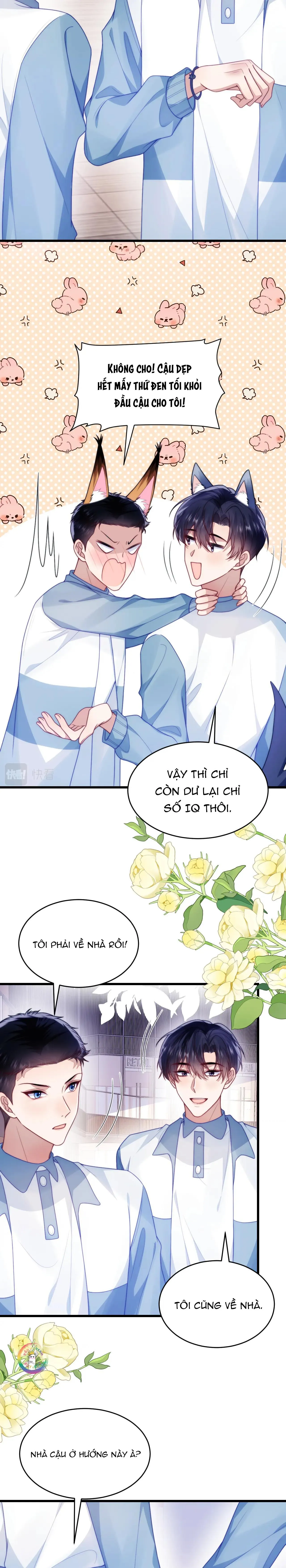 Mèo Hoang Nhỏ Của Học Bá Quá Trêu Người (END) Chapter 77 Trang 7