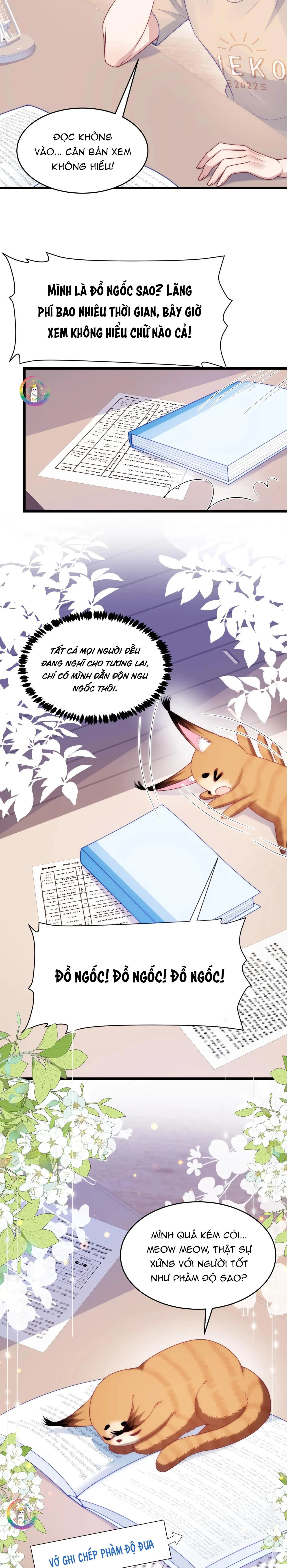 Mèo Hoang Nhỏ Của Học Bá Quá Trêu Người (END) Chapter 78 Trang 11