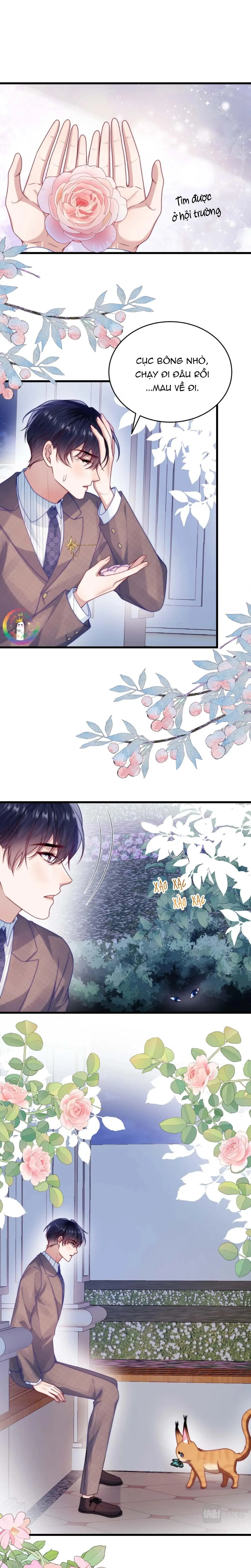 Mèo Hoang Nhỏ Của Học Bá Quá Trêu Người (END) Chapter 80 Trang 9