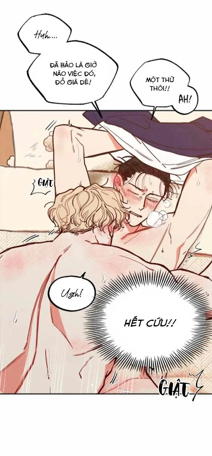 [HOÀN] Muốn Sống Thì Phải Giữ Trinh Chapter 15 Trang 12