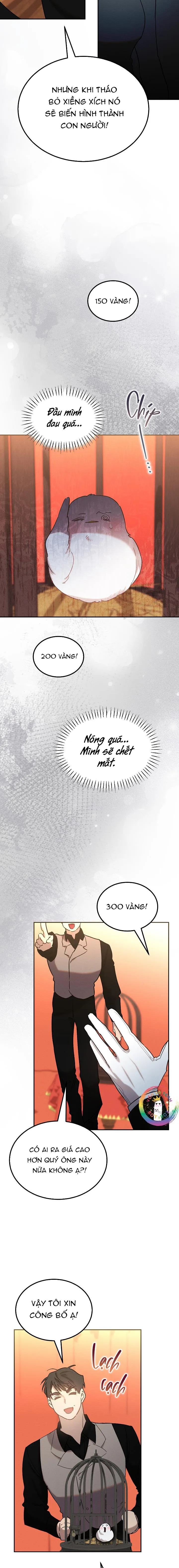 (END) Này, Đừng Có Nhấn Cái Nút Đó! Chapter 62 Trang 10