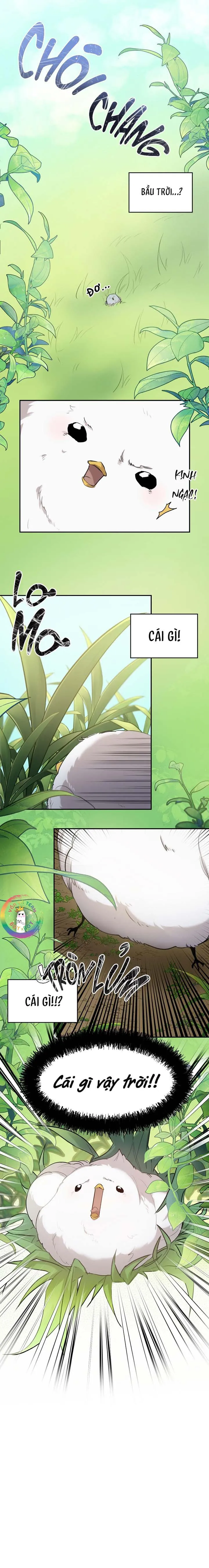 (END) Này, Đừng Có Nhấn Cái Nút Đó! Chapter 1 Trang 8