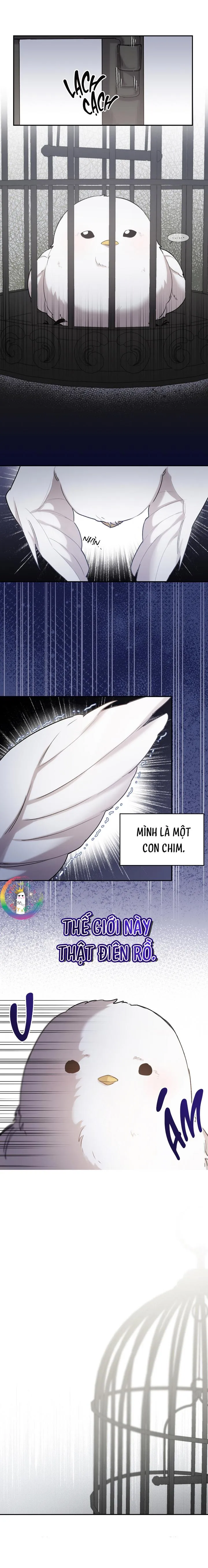 (END) Này, Đừng Có Nhấn Cái Nút Đó! Chapter 1 Trang 15