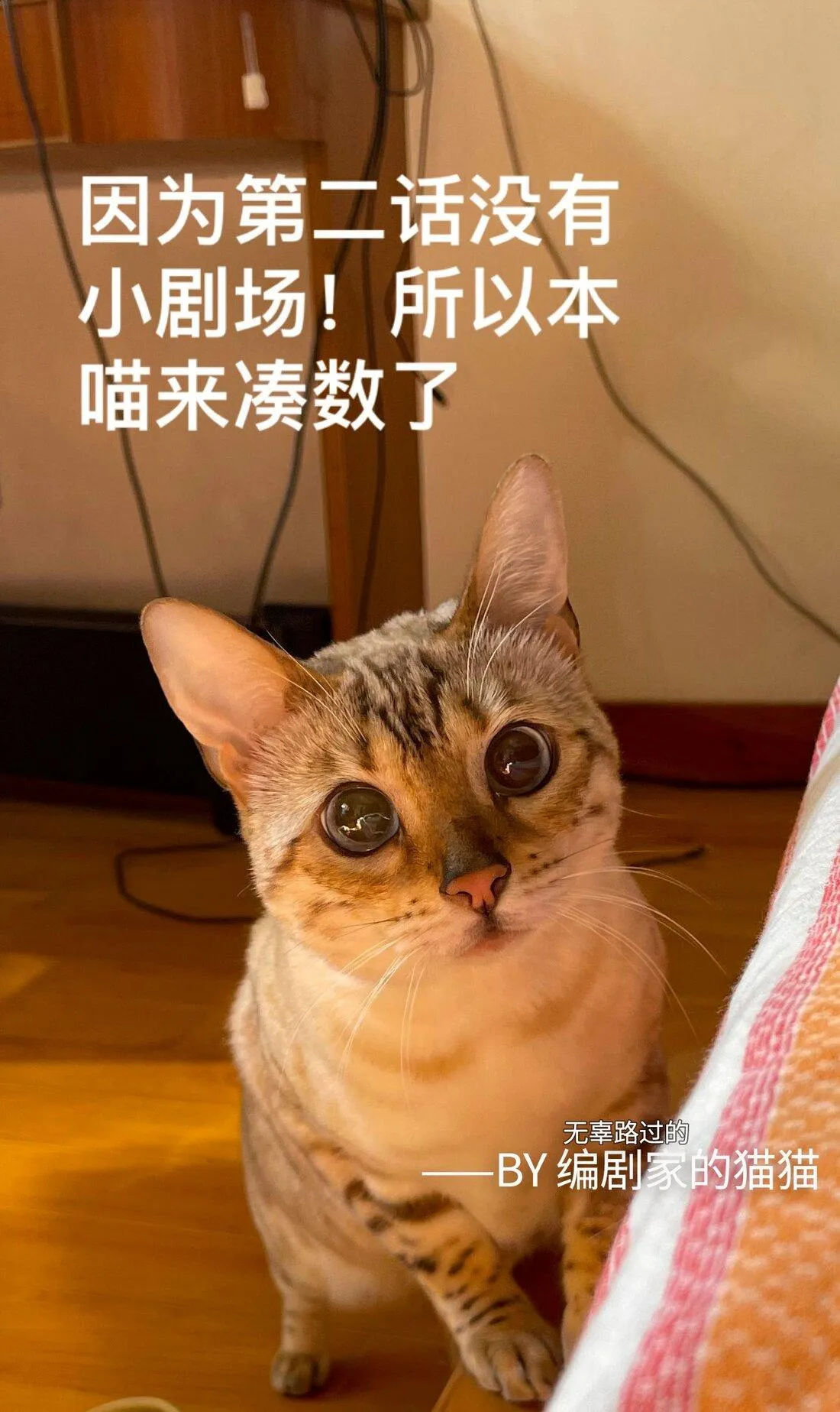 Người giám hộ của tôi Chapter 2 Trang 31