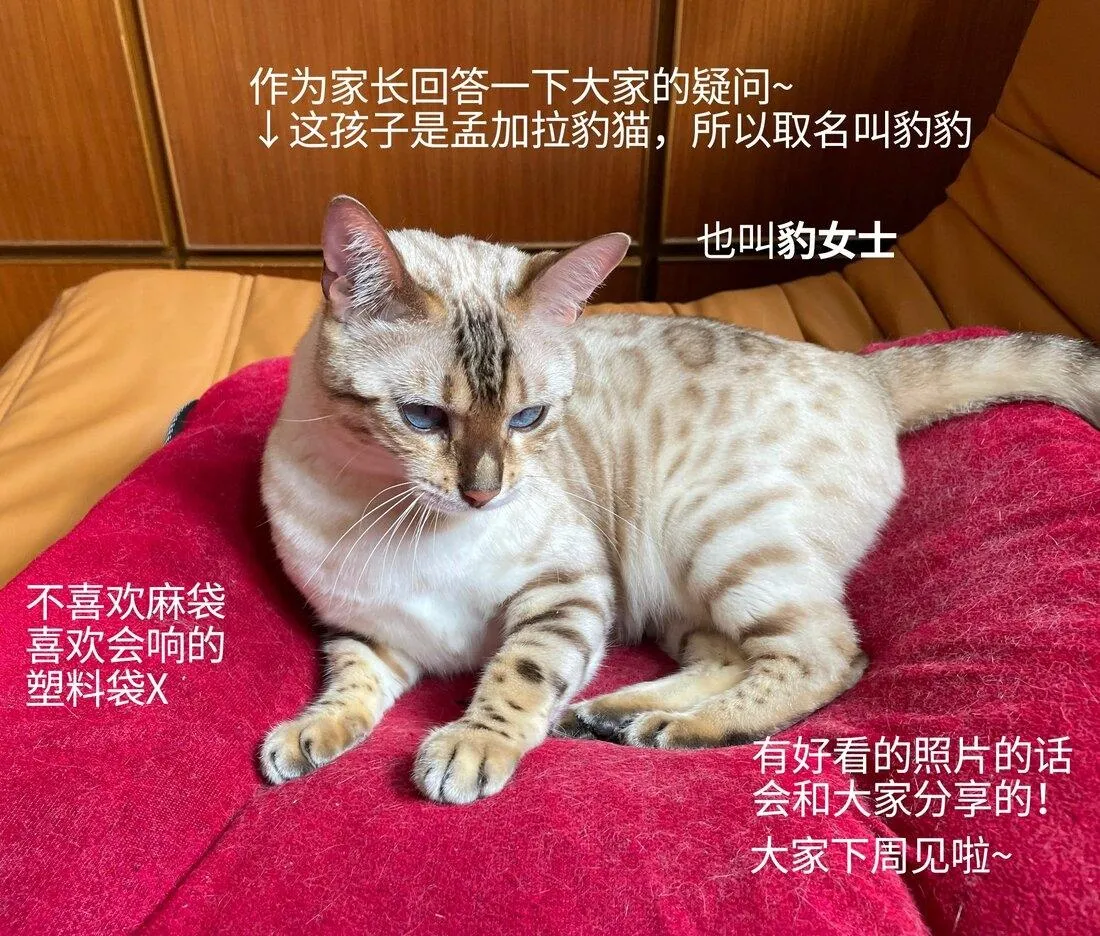 Người giám hộ của tôi Chapter 3 Trang 43