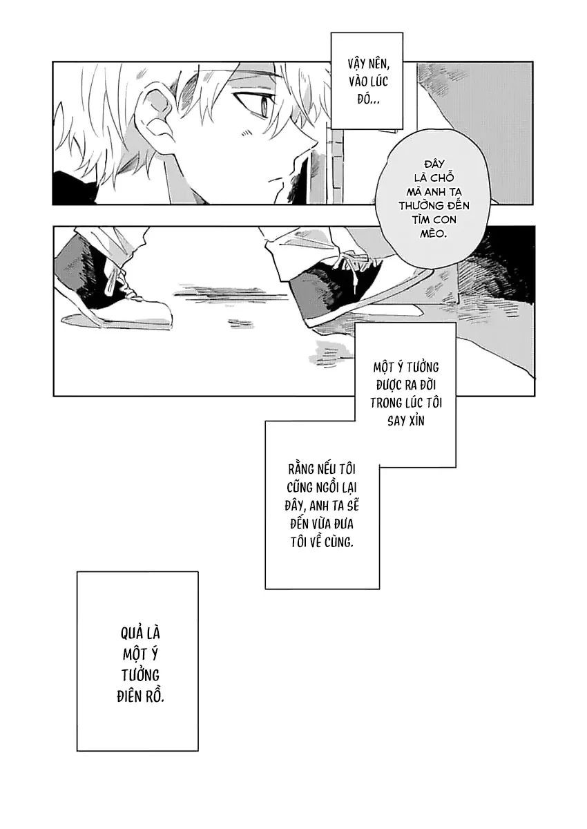 (END) Nhặt Được Một Em Mèo Và Một Cậu Trai Chapter 2 Trang 20