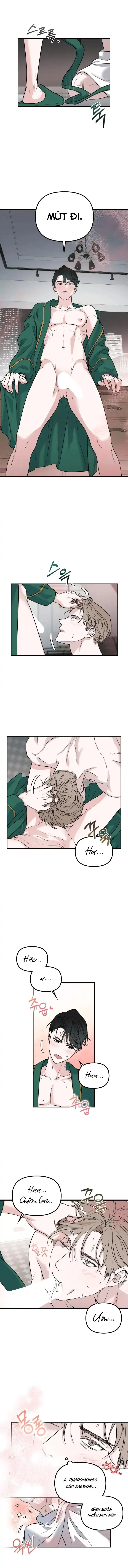 Non-refundable Alpha [Hoàn] Chapter 1 Trang 12