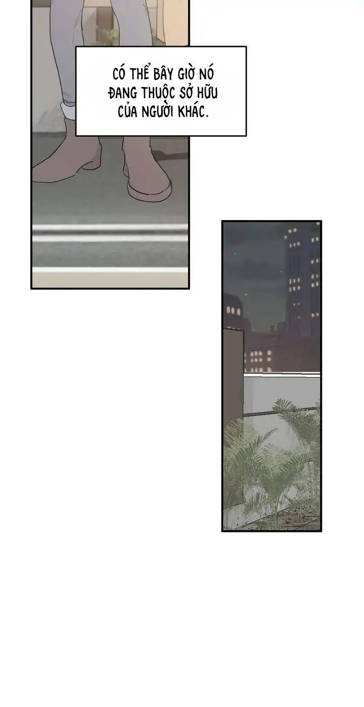 Sao NOTP Lại Thành Thật Rồi? (END) Chapter 35 Trang 16