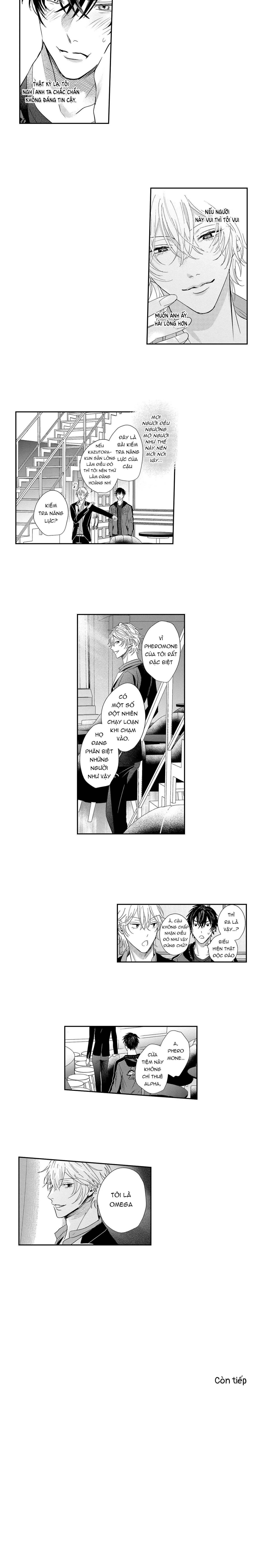 Nữ hoàng Omega hoa lệ Chapter 2 Trang 5