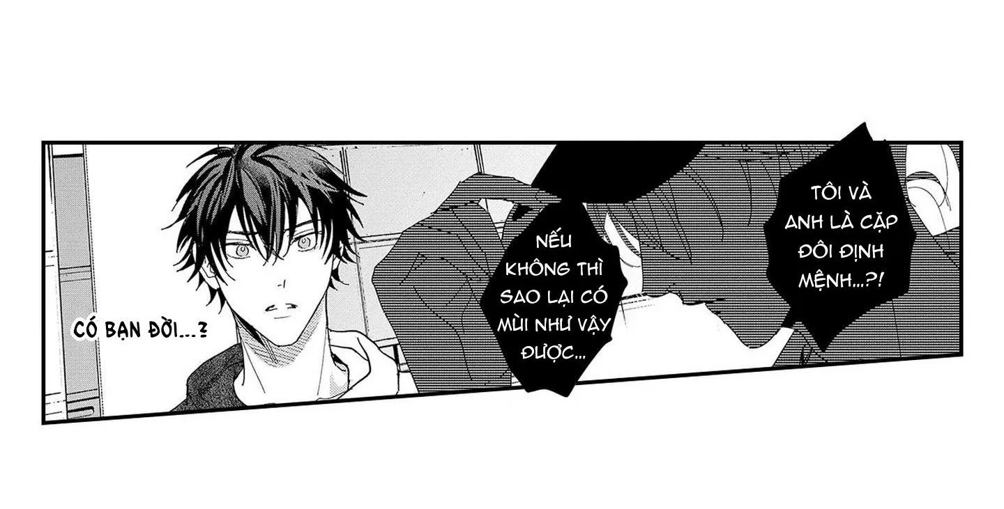 Nữ hoàng Omega hoa lệ Chapter 6 Trang 14