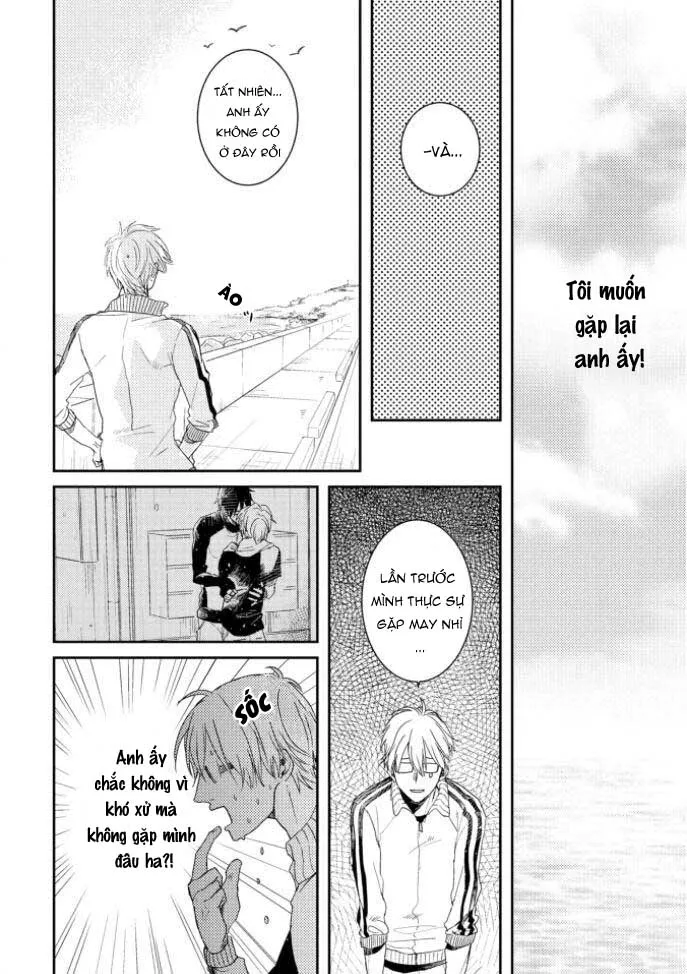 PHẢI LÒNG CHÀNG BƯU TÁ Chapter 4 Trang 5