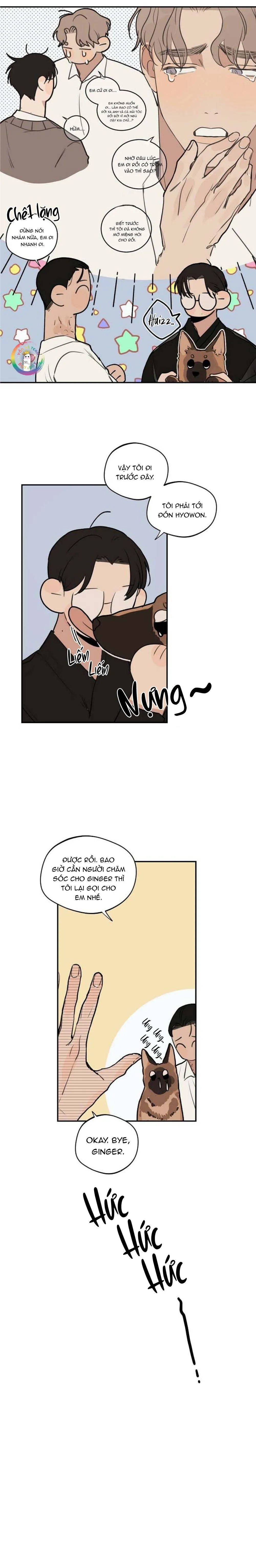 Runway Hit (END) Chapter 65 Trang 3