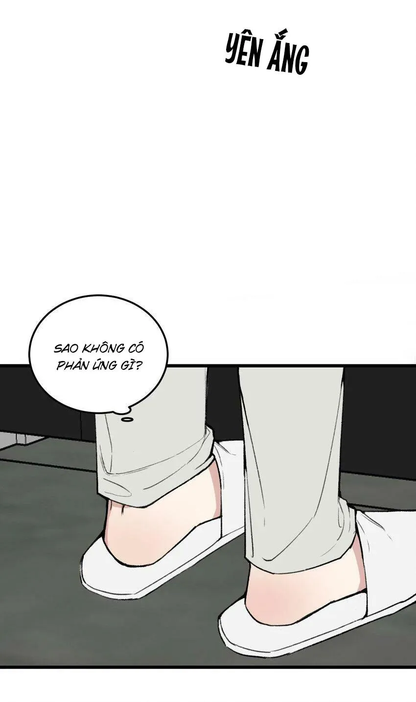 Sánh Vai Cùng Kẻ Phản Nghịch (END) Chapter 15 Trang 11