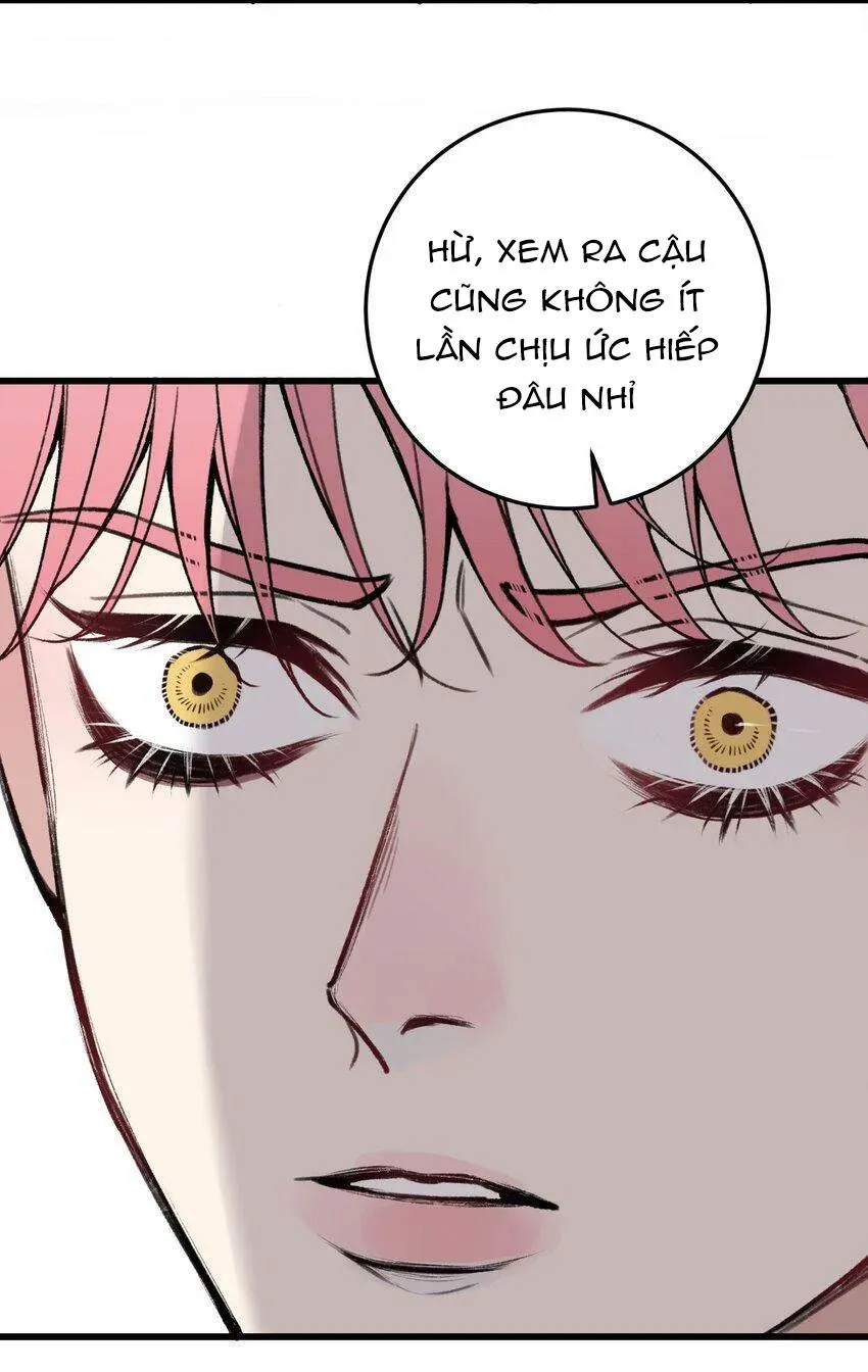 Sánh Vai Cùng Kẻ Phản Nghịch (END) Chapter 15 Trang 18