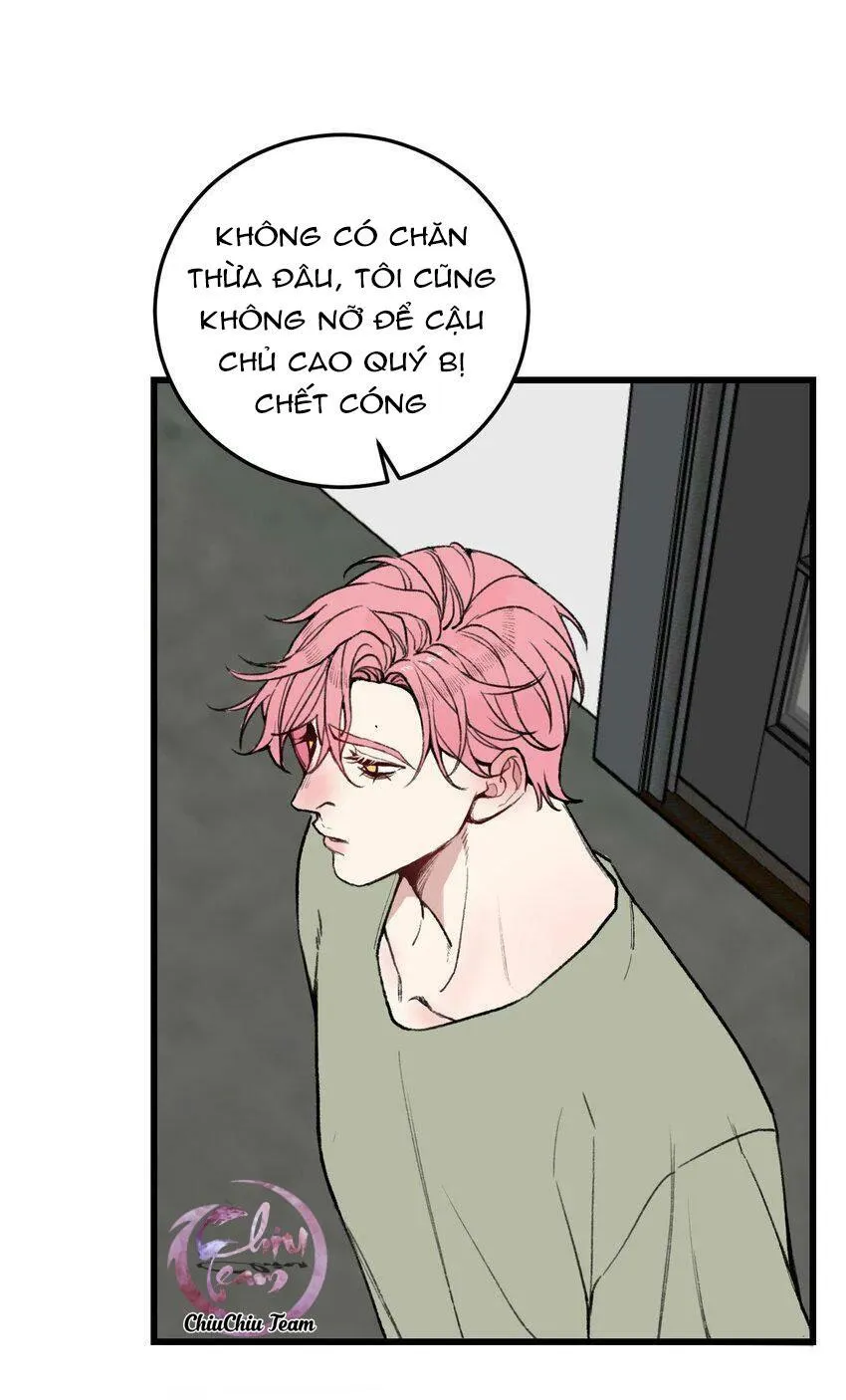 Sánh Vai Cùng Kẻ Phản Nghịch (END) Chapter 15 Trang 20