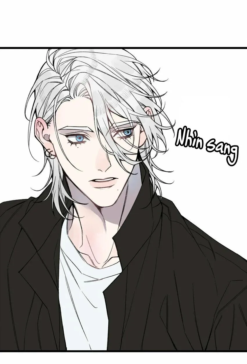 Sánh Vai Cùng Kẻ Phản Nghịch (END) Chapter 19 Trang 11