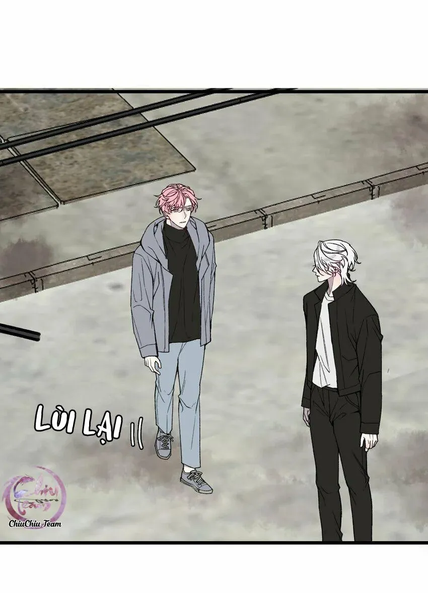 Sánh Vai Cùng Kẻ Phản Nghịch (END) Chapter 20 Trang 10