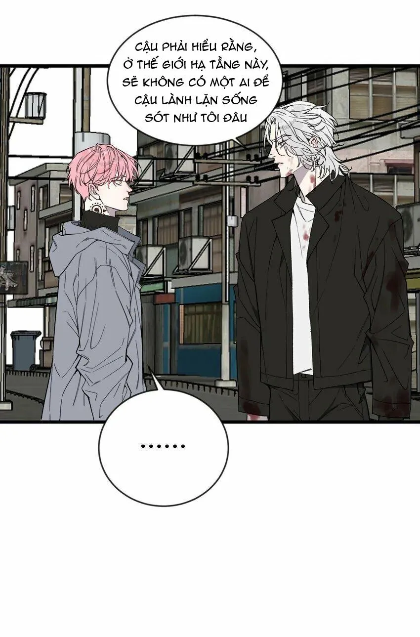 Sánh Vai Cùng Kẻ Phản Nghịch (END) Chapter 20 Trang 19