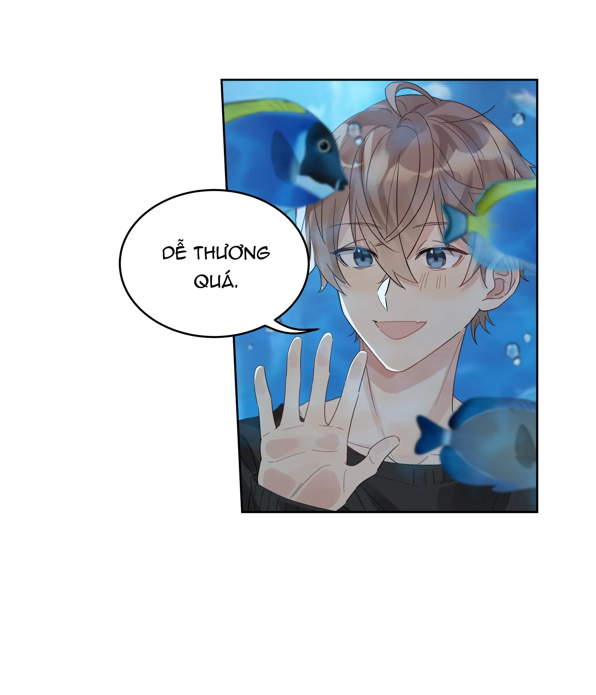 Scandal ngây thơ (END) Chapter 85 Trang 4