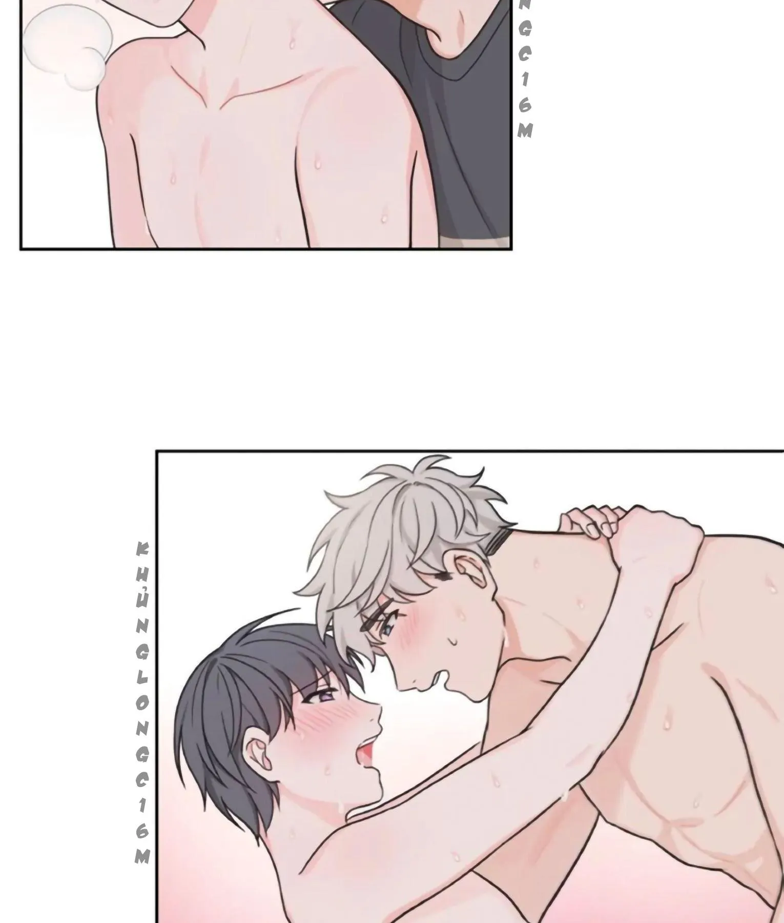 Sit, Wait, Kiss Me Chapter 19 Trang 16