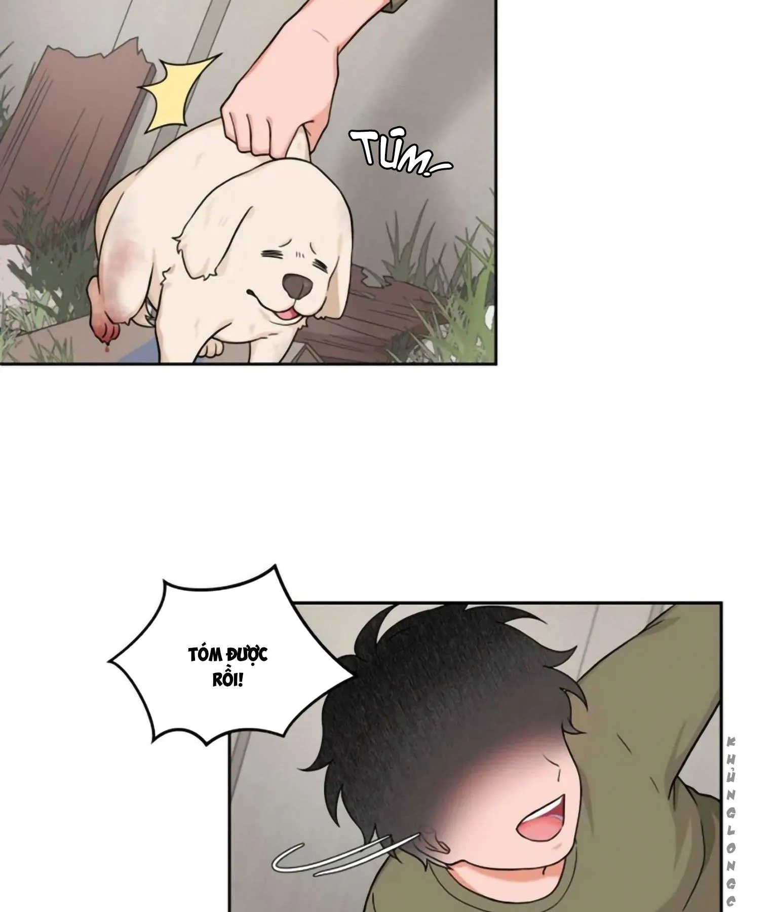 Sit, Wait, Kiss Me Chapter 20 Trang 17