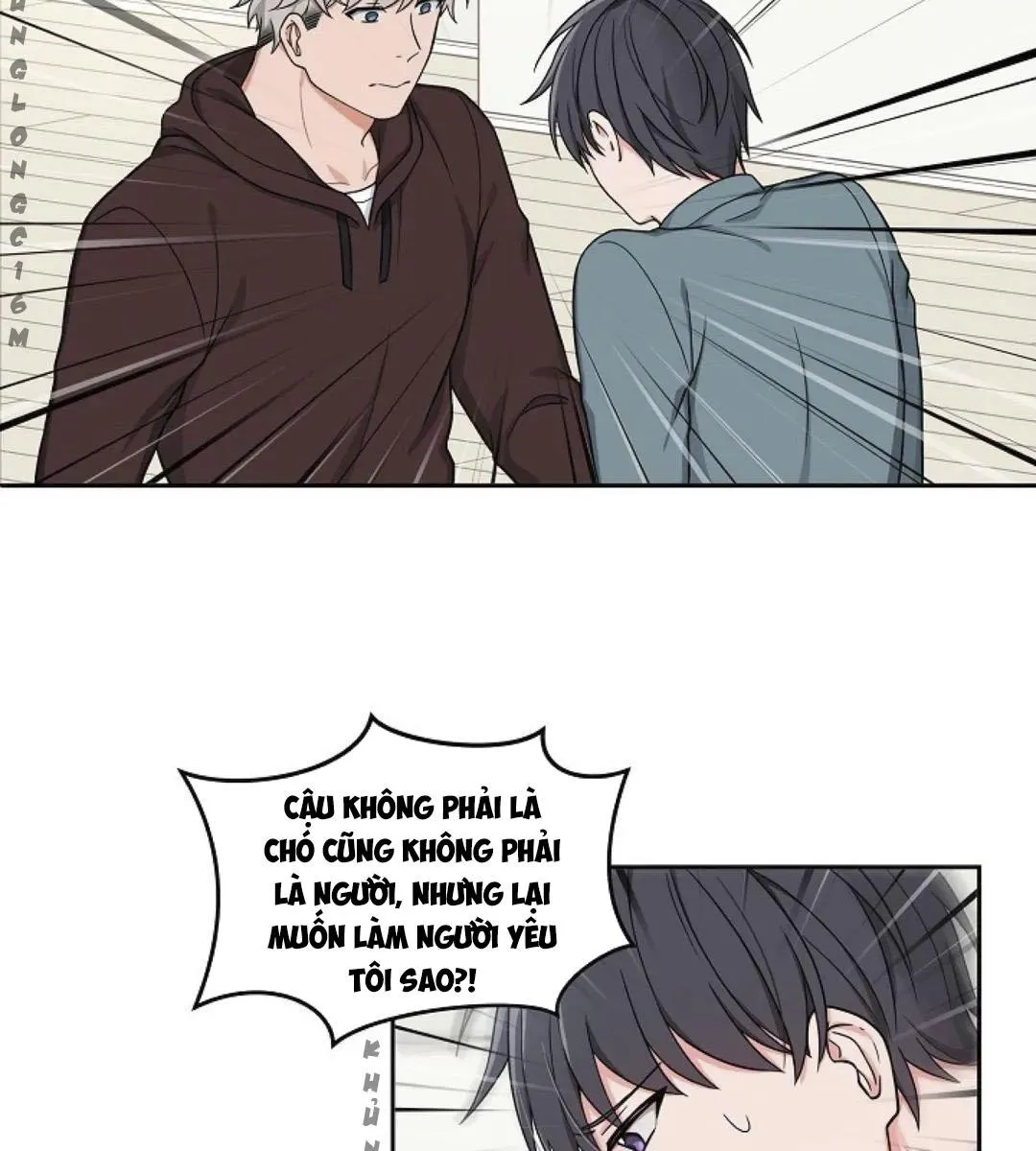 Sit, Wait, Kiss Me Chapter 21 Trang 61