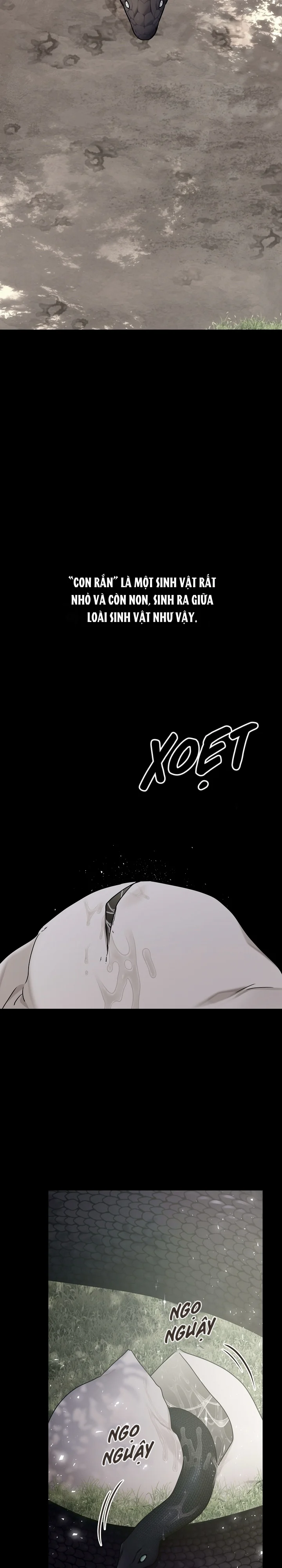 Snake Hole Chapter 15 Trang 5