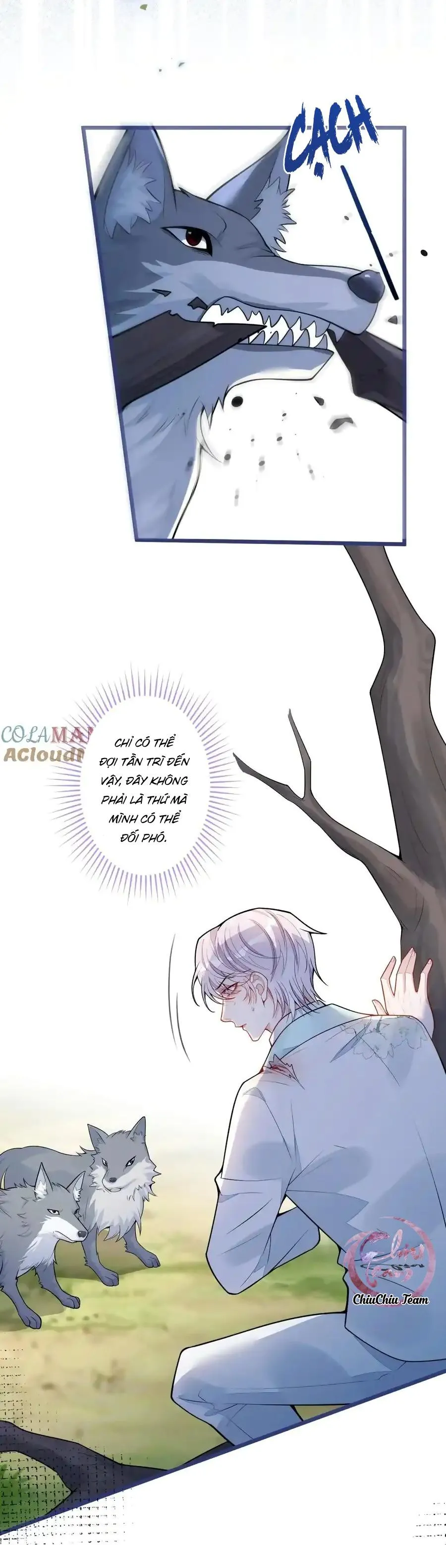 Sói Báo Ơn (END) Chapter 54 Trang 8