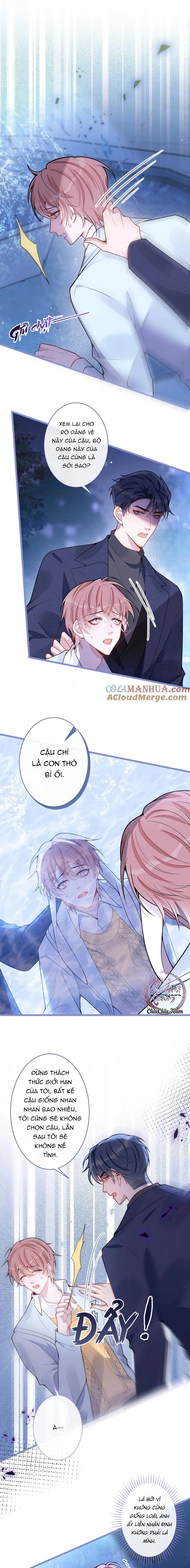 Sói Báo Ơn (END) Chapter 55 Trang 8