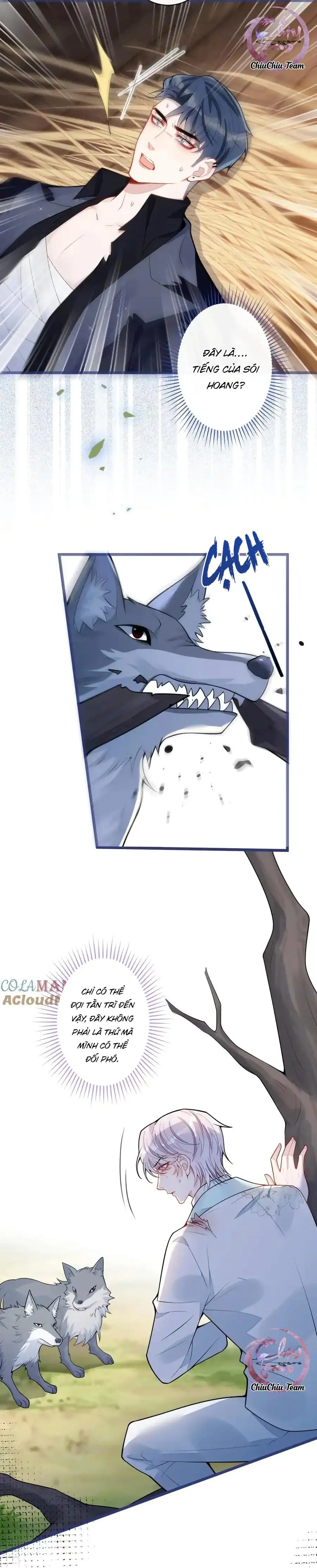 Sói Báo Ơn (END) Chapter 56 Trang 6