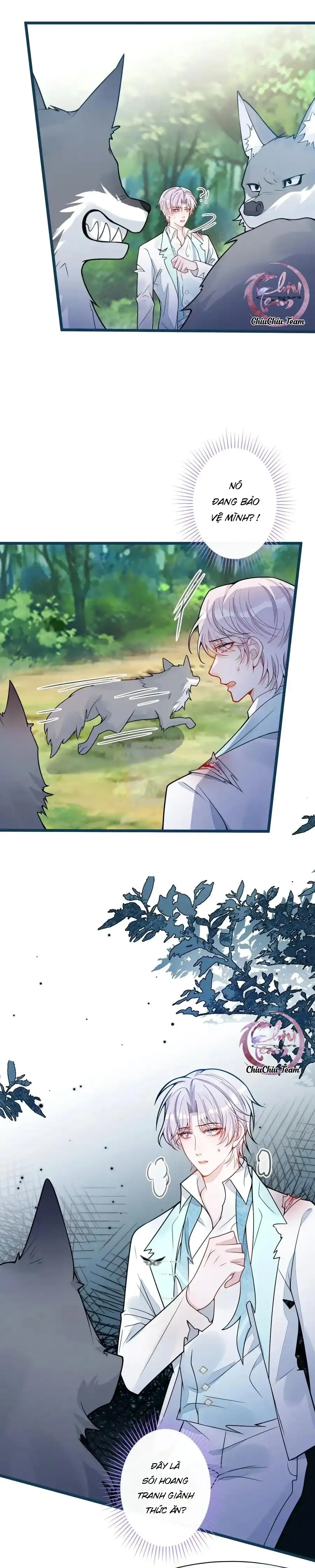 Sói Báo Ơn (END) Chapter 56 Trang 9