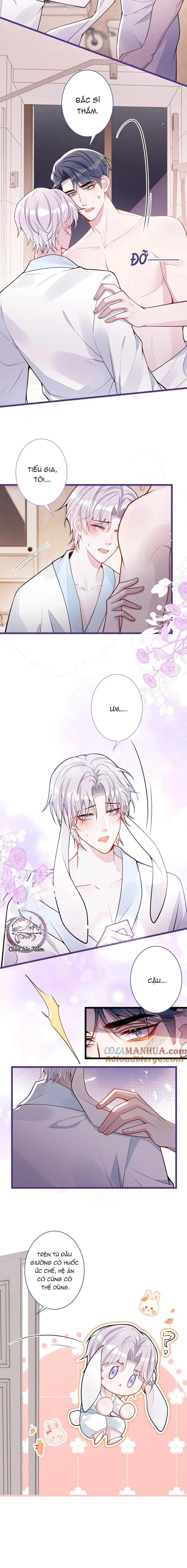 Sói Báo Ơn (END) Chapter 58 Trang 6