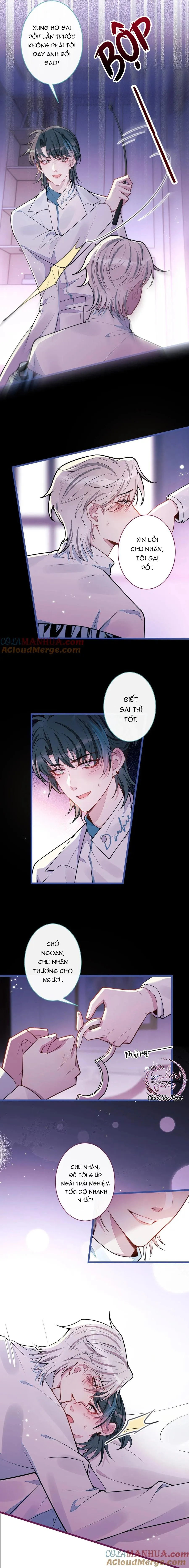 Sói Báo Ơn (END) Chapter 58 Trang 8