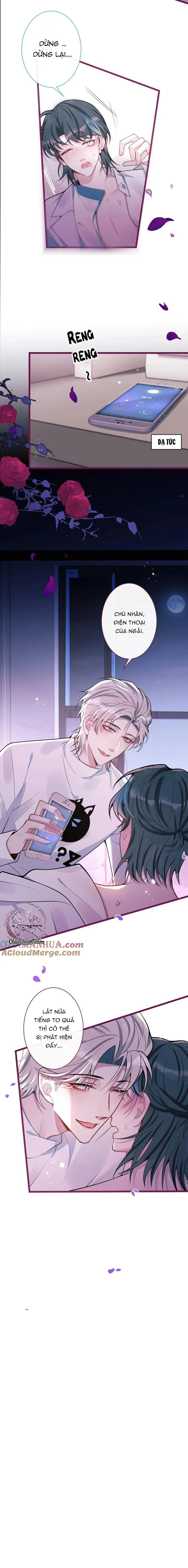 Sói Báo Ơn (END) Chapter 58 Trang 9