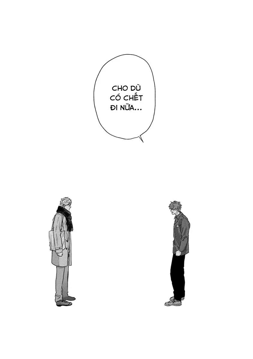 Sự Ghen Tuông Của Hoa Cúc (END) Chapter 7 Trang 6