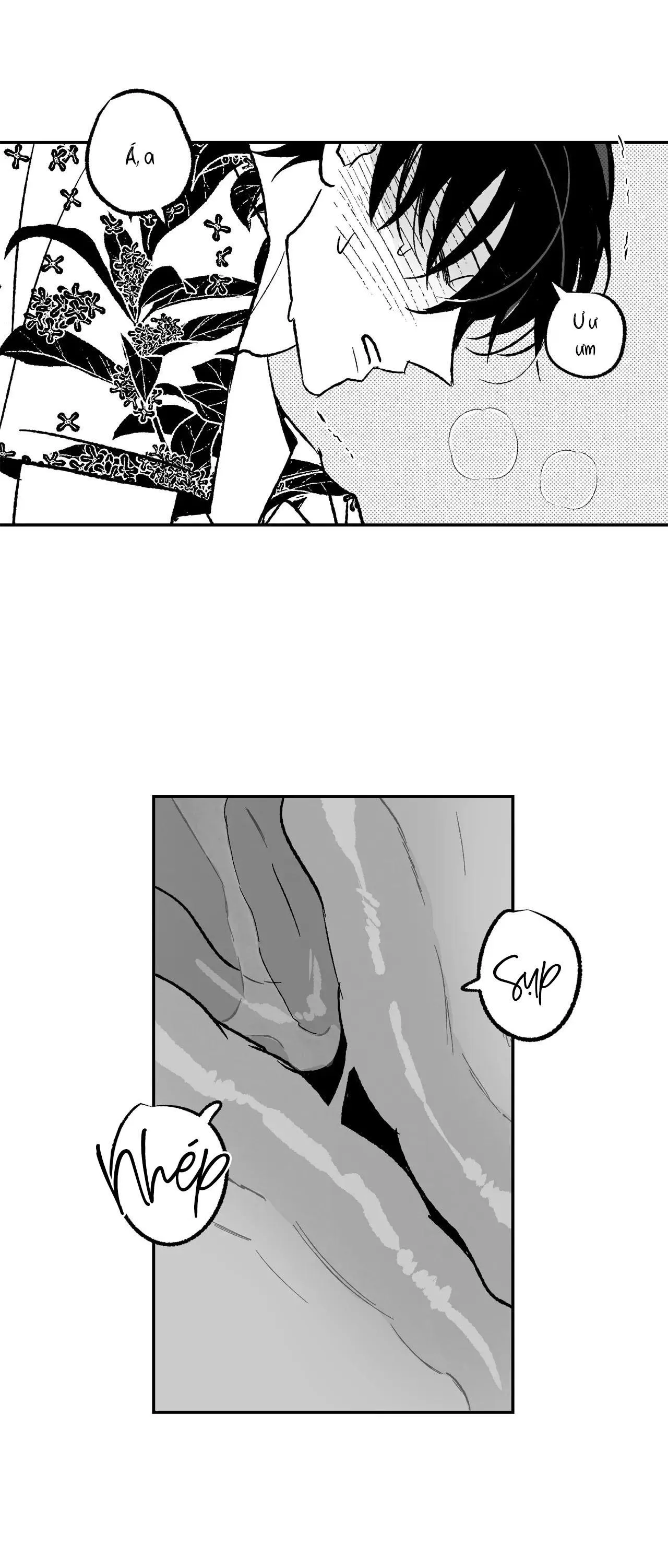 Sự kết hợp hoàn hảo Chapter 31 Trang 27