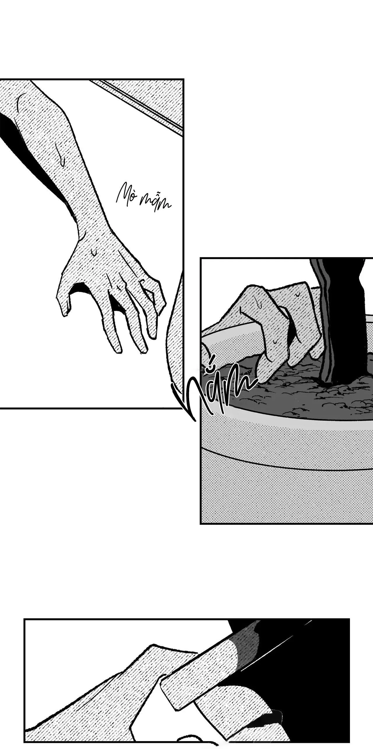 Sự kết hợp hoàn hảo Chapter 38 Trang 11