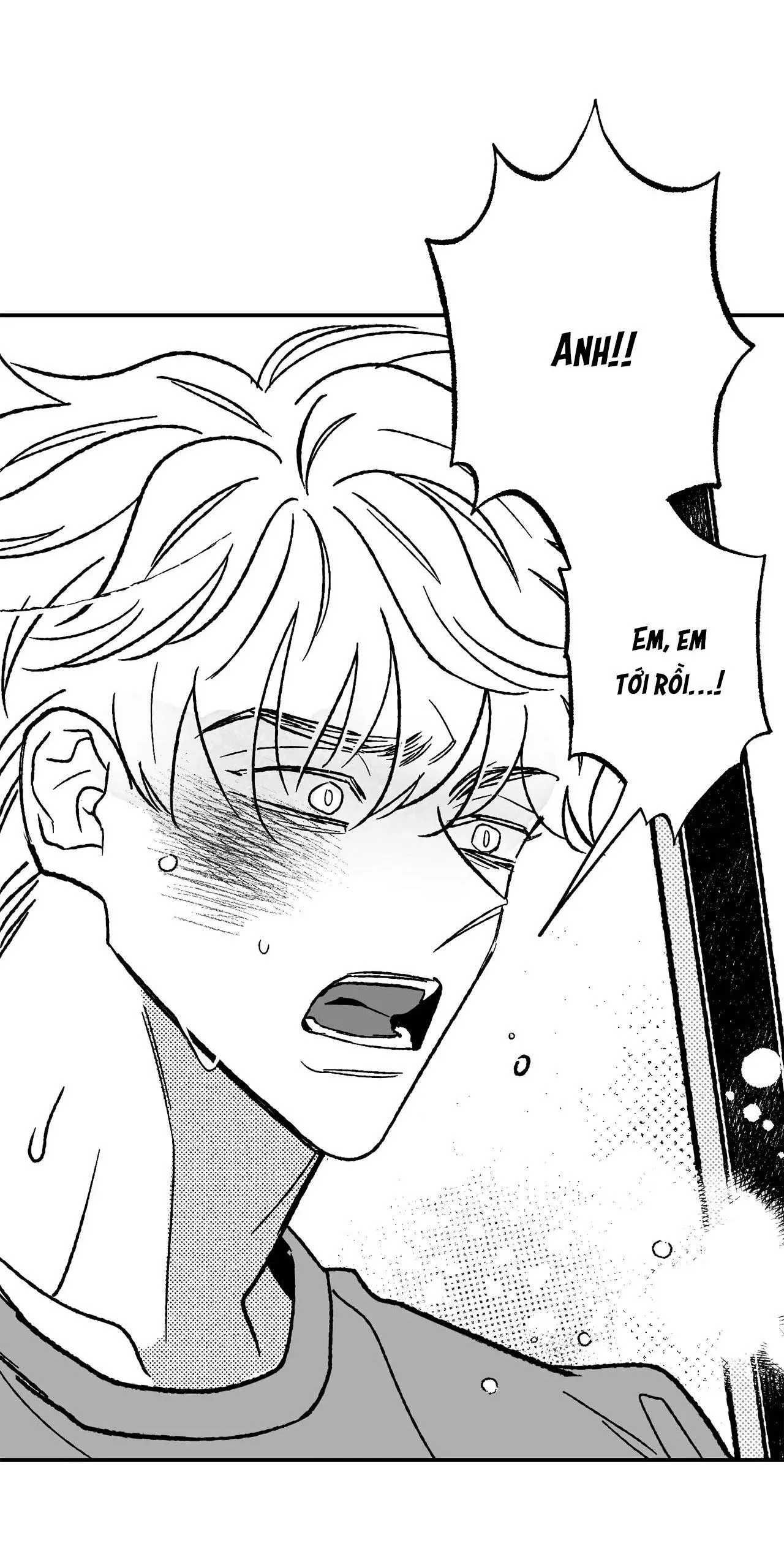 Sự kết hợp hoàn hảo Chapter 38 Trang 16