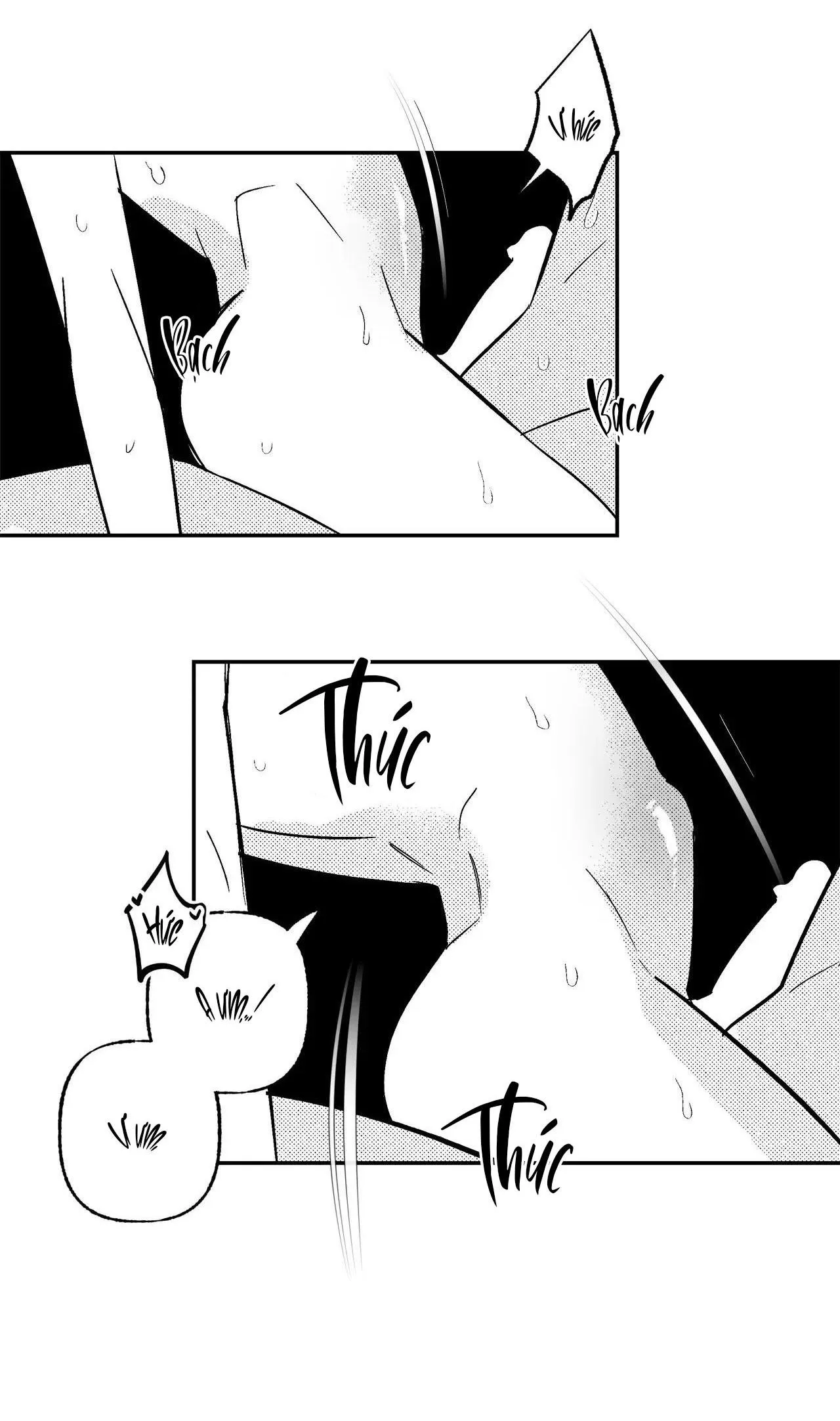 Sự kết hợp hoàn hảo Chapter 43 Trang 17