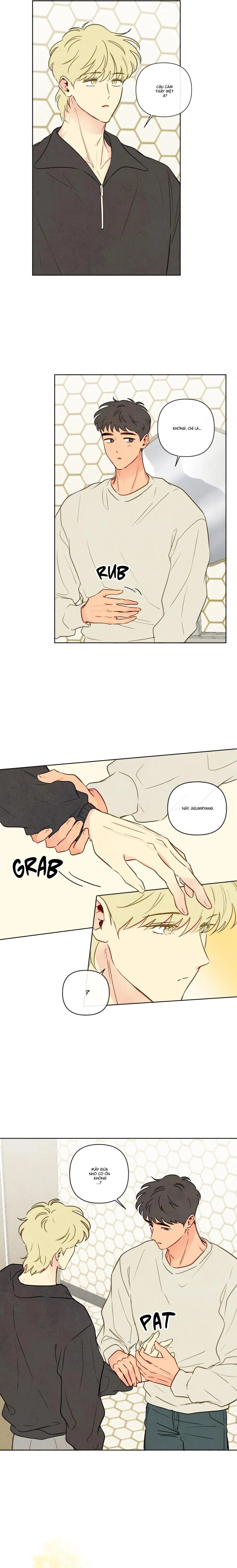 Sự quyến rũ của Thần Rắn Chapter 33 Trang 14