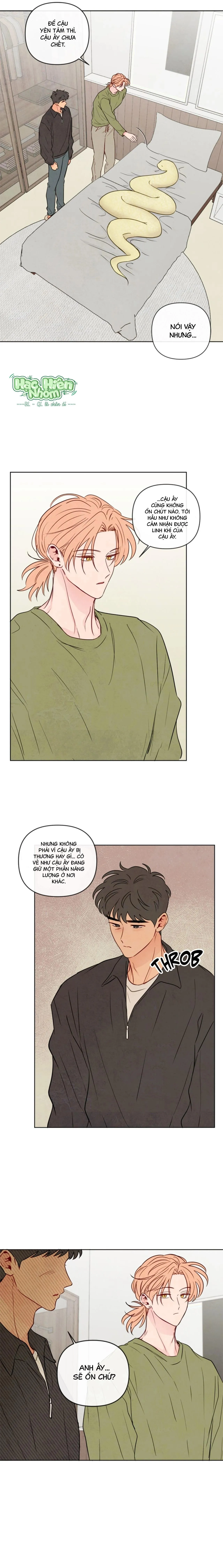 Sự quyến rũ của Thần Rắn Chapter 41 Trang 10