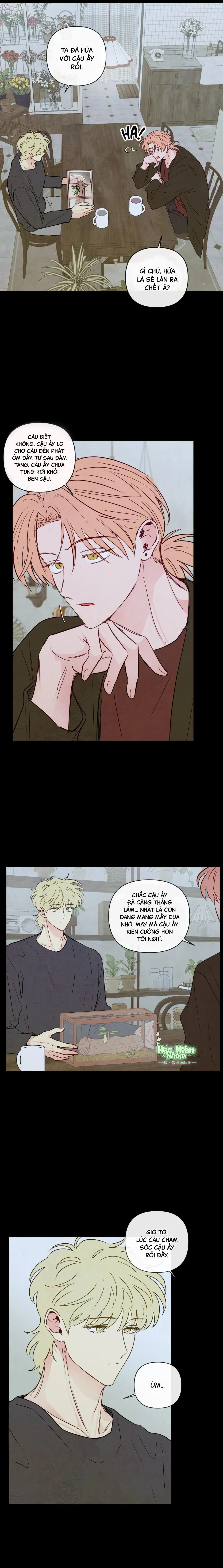 Sự quyến rũ của Thần Rắn Chapter 43 Trang 15