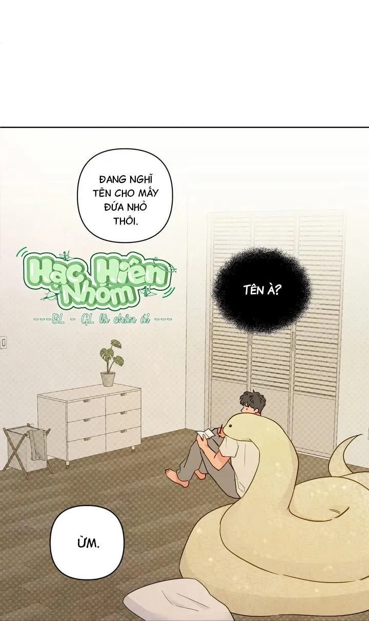 Sự quyến rũ của Thần Rắn Chapter 50 Trang 11